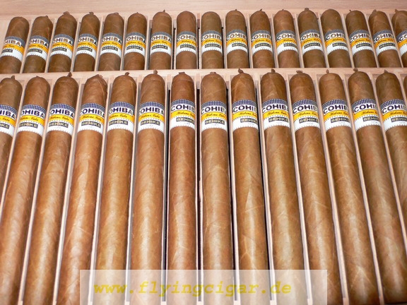 sinjimmycigars 17