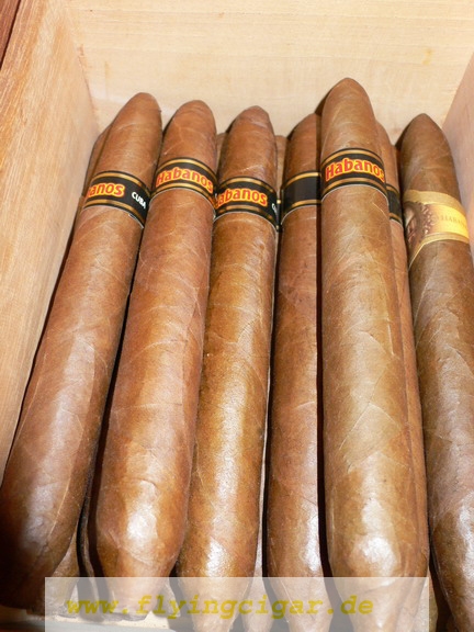 sinjimmycigars 25