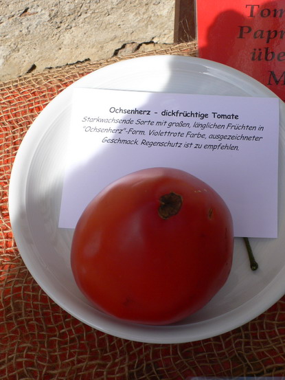 alles tomate 0809 23