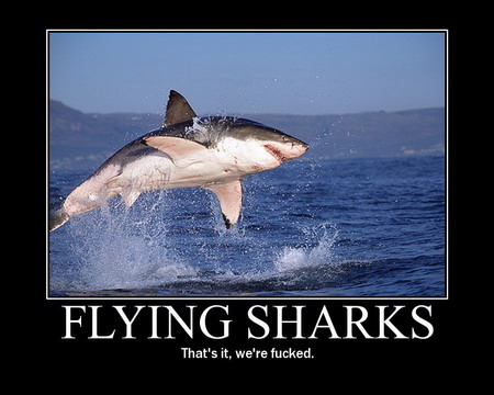 takingtimeout 005 flying sharks