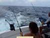 fishing trip 26