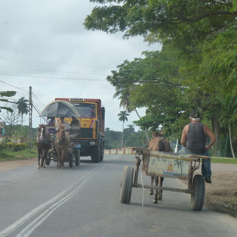 cuba 2011 - robaina 07