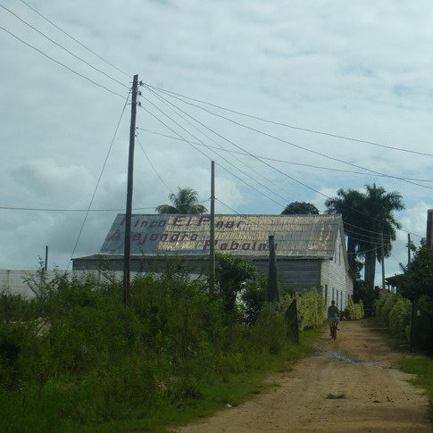 cuba 2011 - robaina 09