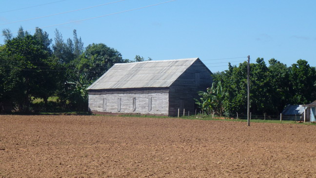 cuba 2011 - robaina 23