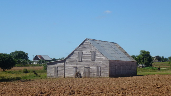 cuba 2011 - robaina 24