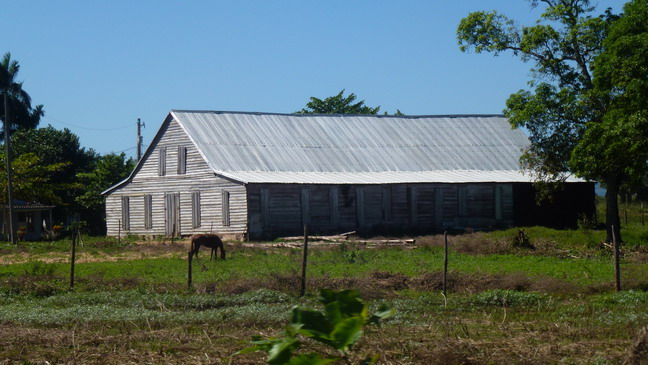 cuba 2011 - robaina 25