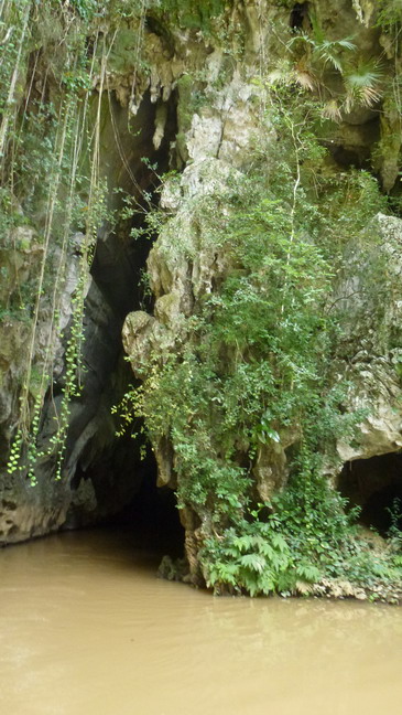 cuba 2011 - vinales 17