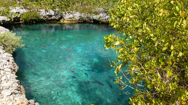 cuba 2012 caleta buena 0412 28