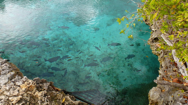 cuba 2012 caleta buena 0412 29