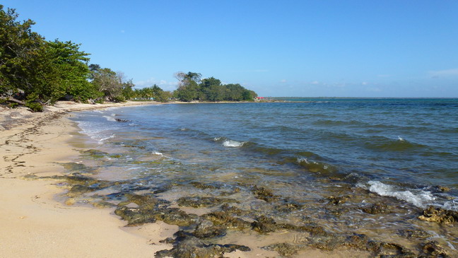 cuba 2012 playa larga I 0412 24