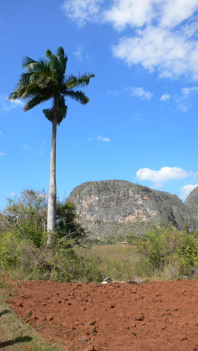 cuba 2011 hotel moka-vinales 28