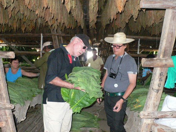 cuba 2011 vuelta abajo - trinidad 12