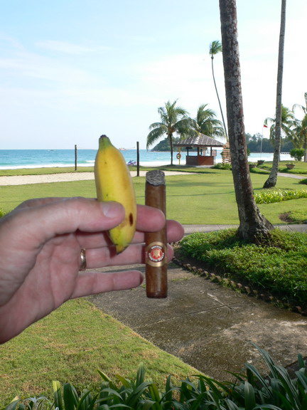 sin bintan cigars with lizards 1210 08