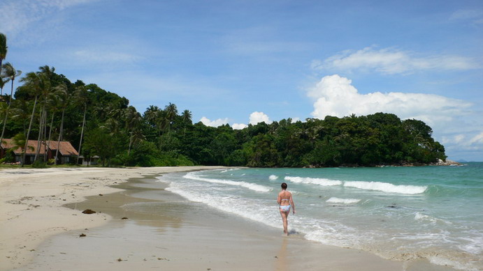 sin bintan cigars with lizards 1210 20